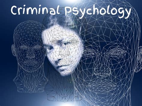  Insight : Un voyage fascinant dans le monde de la psychologie criminelle à travers les yeux d'un profiler atypique !