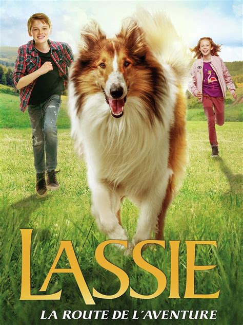  Lassie : L'aventure d'un chien héroïque et les liens indéfectibles entre humains et animaux !